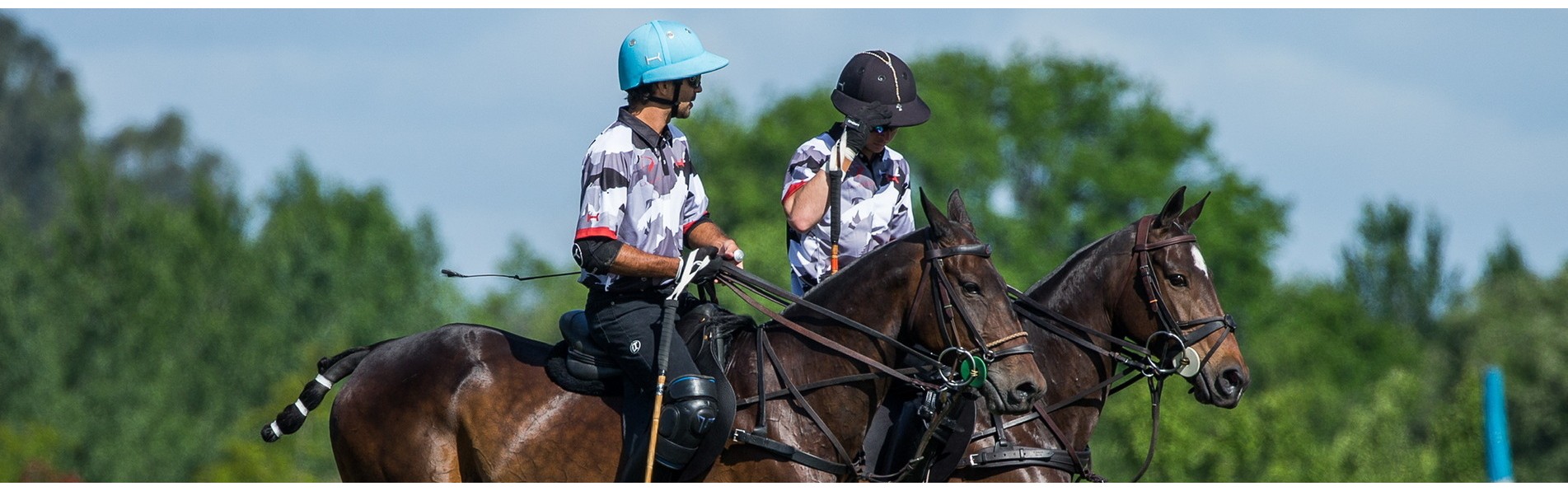 https://www.kronopolo.fr/image/cache/catalog/BLOG%20PHOTOS/polo%20handicap-1903x596.jpg