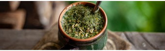 WHAT IS YERBA MATE?