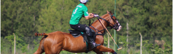 HOW TO BECOME A GOOD POLO PLAYER?