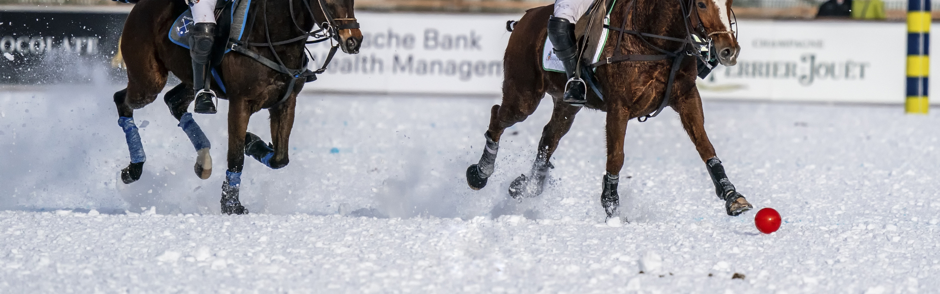 https://www.kronopolo.fr/image/cache/catalog/Blog%20Banners/horseshows%20for%20snow%20polo-1903x596.jpg