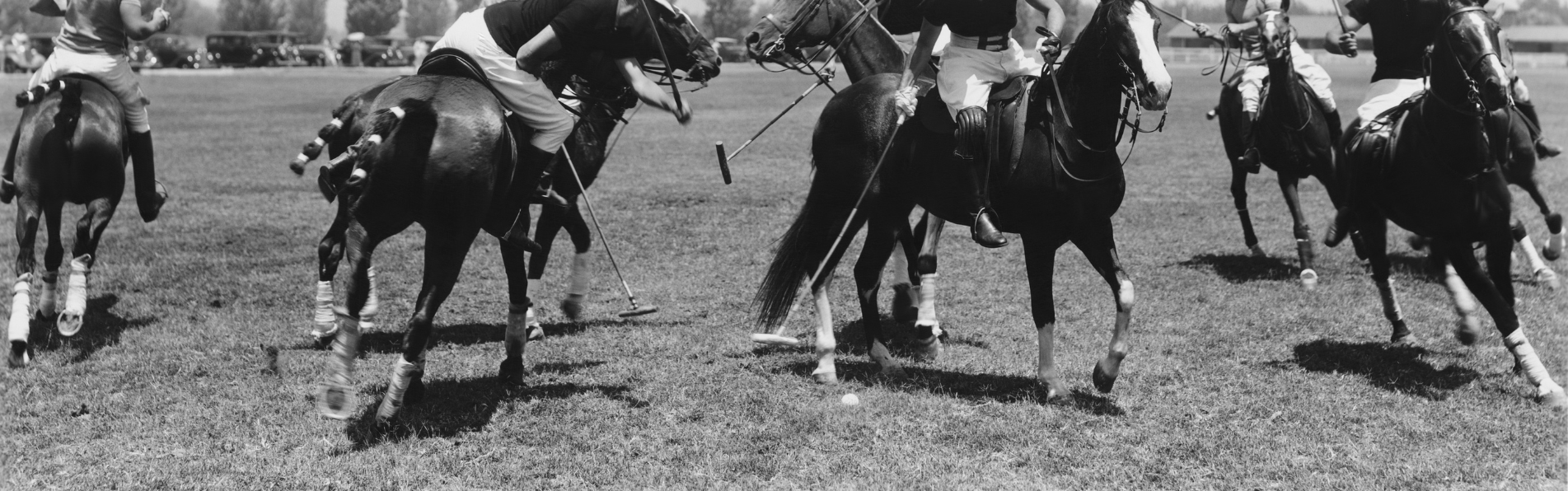 https://www.kronopolo.fr/image/cache/catalog/Blog/polo-horses-stop-better-1903x596.png