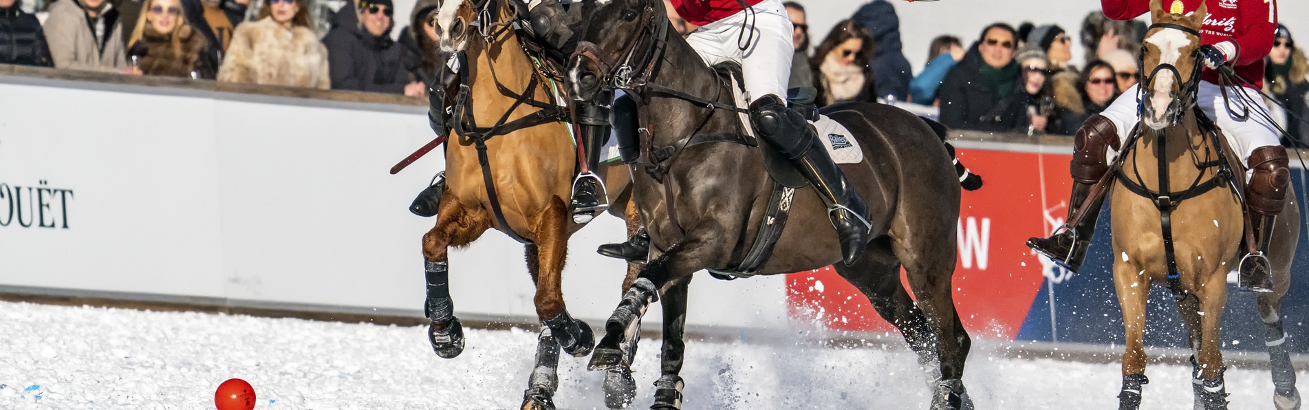 https://www.kronopolo.fr/image/cache/catalog/Blog/snow%20polo%20in%20saint%20moritz-1903x596.jpg