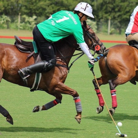 Pantalon D'entraînement Polo Pour Hommes Krono