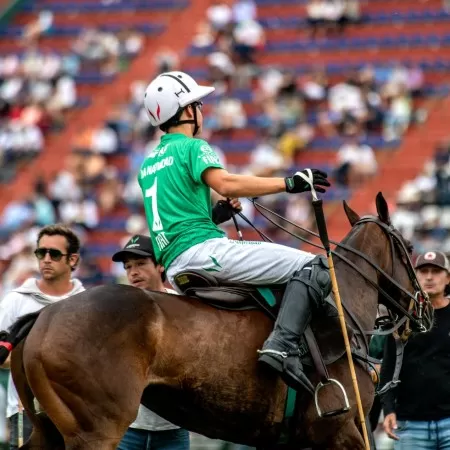 Casque de Polo Gris Casque de Polo Gris