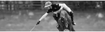 Why Polo Is the World’s Most Stylish Sport Why Polo Is the World’s Most Stylish Sport