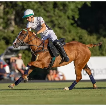 Selle de Polo High Goal Selle de Polo High Goal