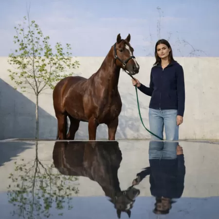 Sweat à capuche Zippé en cachemire Bleu Marine Sweat à capuche Zippé en cachemire Bleu Marine